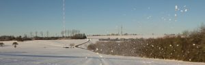 Berus mit Europasender im Schnee