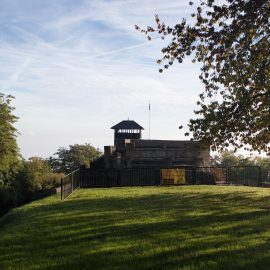 Baumpflegearbeiten an der Teufelsburg